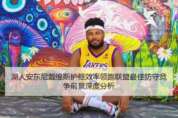 湖人安东尼戴维斯护框效率领跑联盟最佳防守竞争前景深度分析